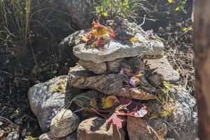 Groves-Andrea-Apacheta-gallery-2023