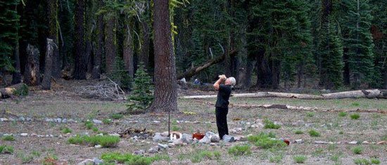 oscar-and-trees3
